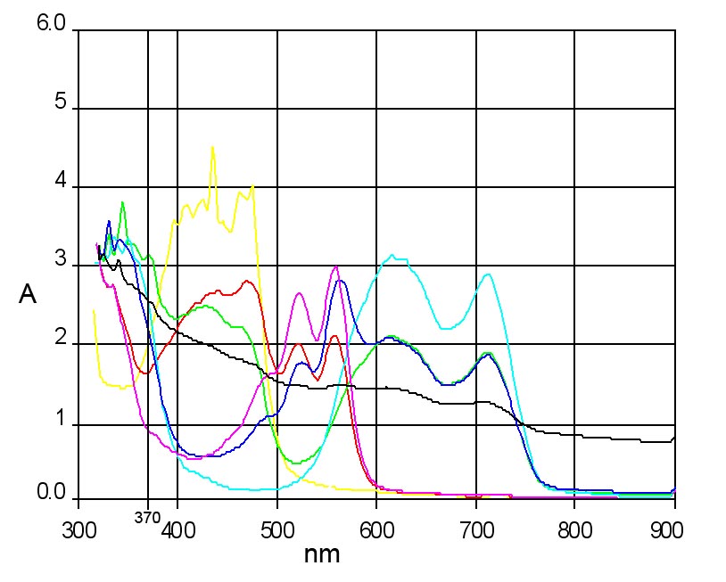 R2400 inks density